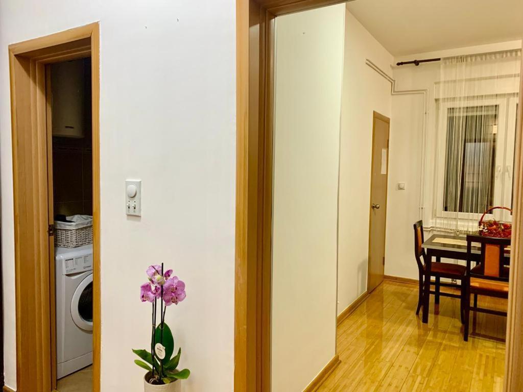City Center Crown Apartment Belgrad Zewnętrze zdjęcie
